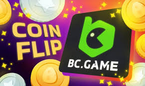 How to Install BC.Game A Step-by-Step Guide 1466985219