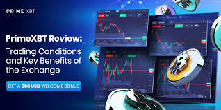 Maximize Your Trading Potential with PrimeXBT Trader
